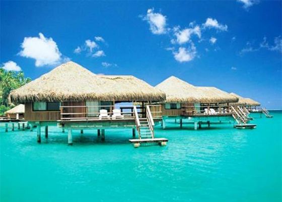 هيكل فولاذي منزلي مزين بالخشب